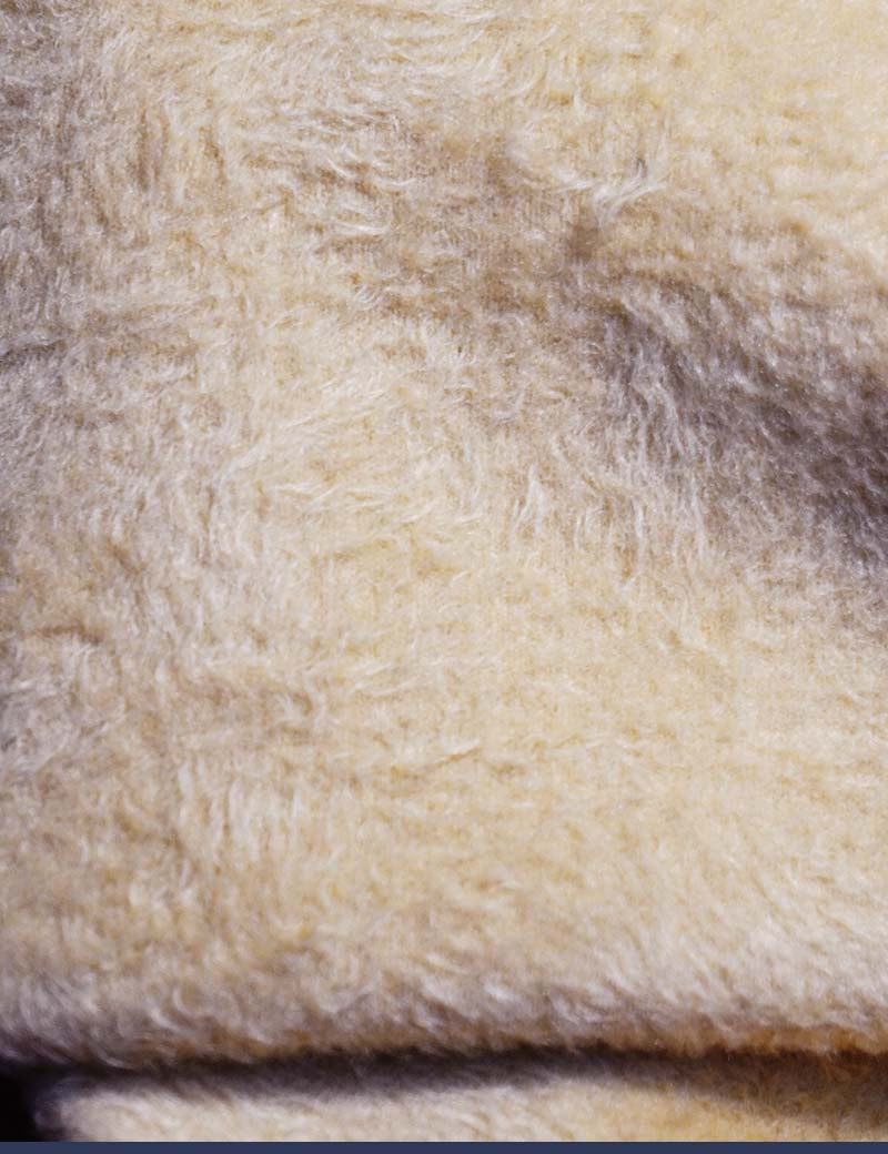 Close-up of a soft, furry material in a light beige color, emphasizing its fluffy and cozy texture - Muselot