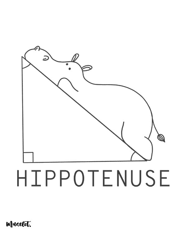 Hippotenuse funny graphic illustration at Muselot
